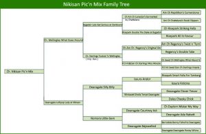 Pedigree History Family Tree Dog Breeding Genetic DNA