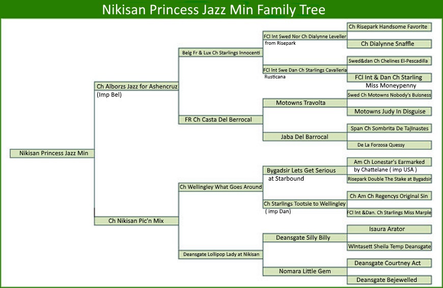 Pedigree History Family Tree Dog Breeding Genetic DNA