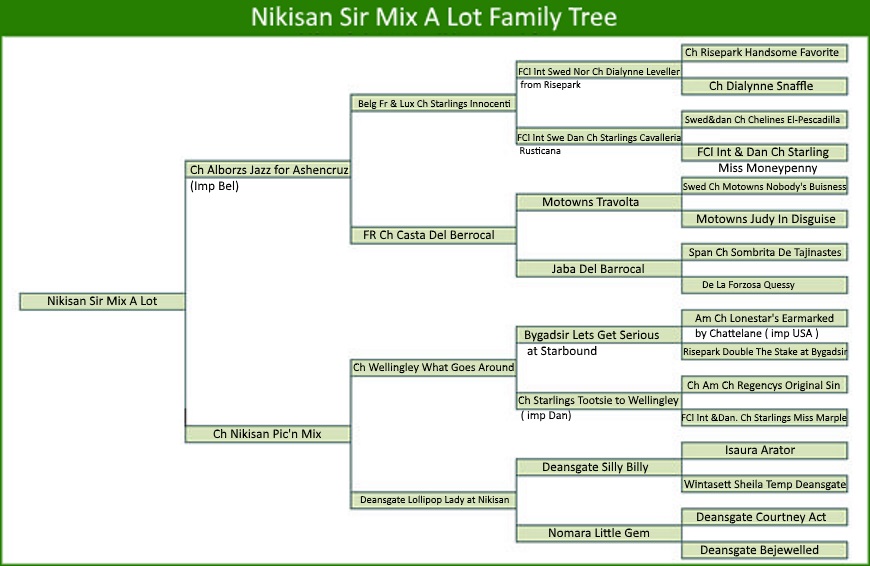 Pedigree History Family Tree Dog Breeding Genetic DNA